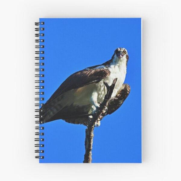 Item preview, Choose Vulnerability designed and sold by Michiale.