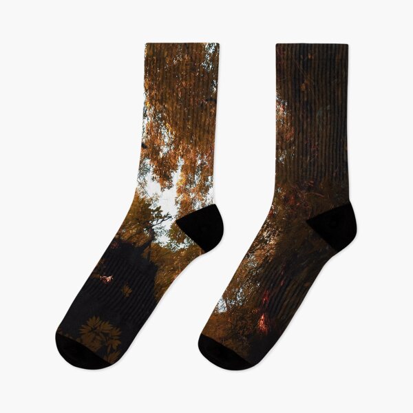 Item preview, Dried orange leaves and forest designed and sold by Mariolangstieh.