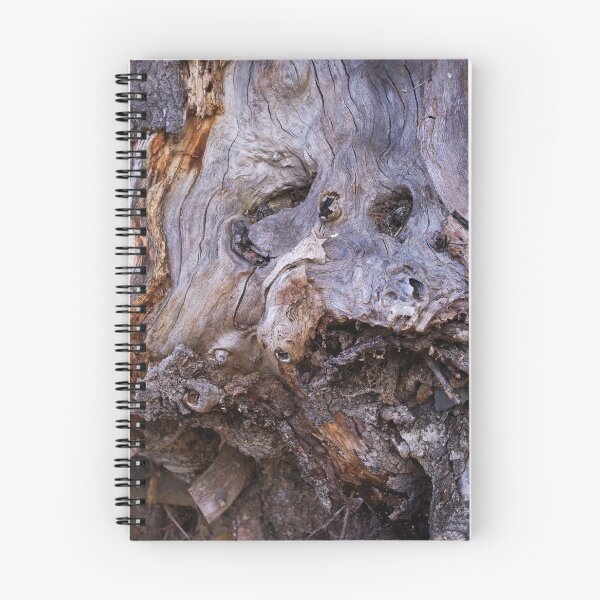 Item preview, Tree trunk designed and sold by tada-leipzig.