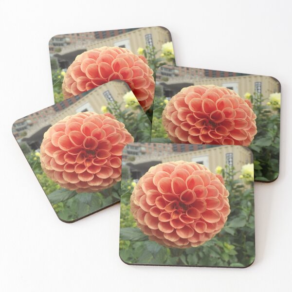 Item preview, Colorful Flower, Lower Manhattan, New York City designed and sold by lenspiro.