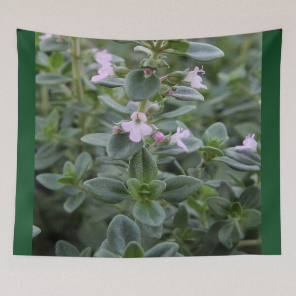 Item preview, Thyme designed and sold by Susie Kramer.