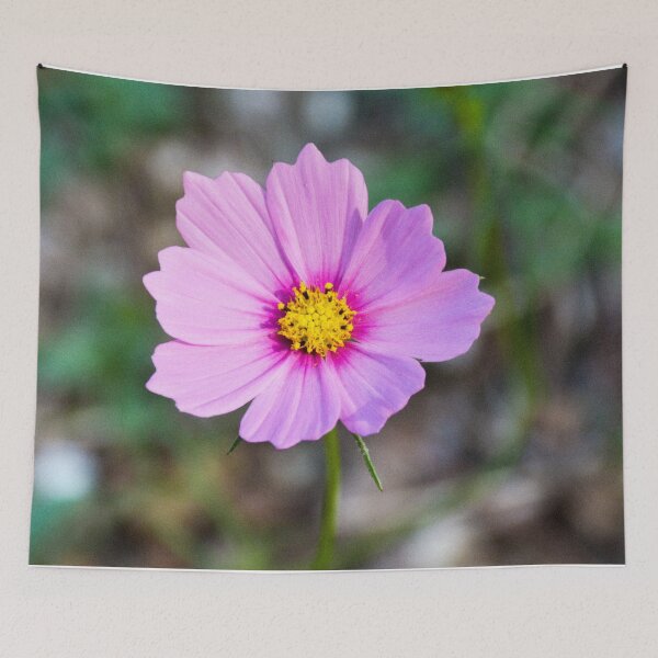 Item preview, Gumdrop designed and sold by macymuirhead.