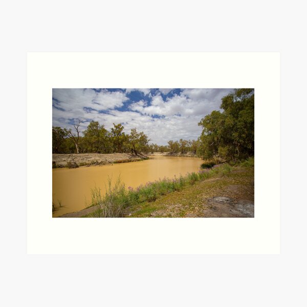 Darling River, Kinchega National Park, NSW, Australia Art Print