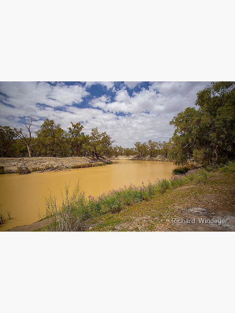 Darling River, Kinchega National Park, NSW, Australia by RICHARDW