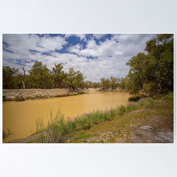 Darling River, Kinchega National Park, NSW, Australia Poster
