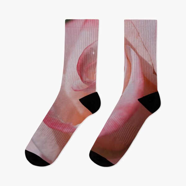 Item preview, Rose Of Pinks designed and sold by Joy Watson - Natural Light Photography .