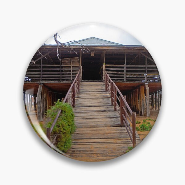 Shearing Shed, Kinchega National Park, NSW, Australia Pin