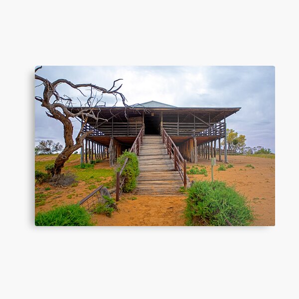 Shearing Shed, Kinchega National Park, NSW, Australia Metal Print
