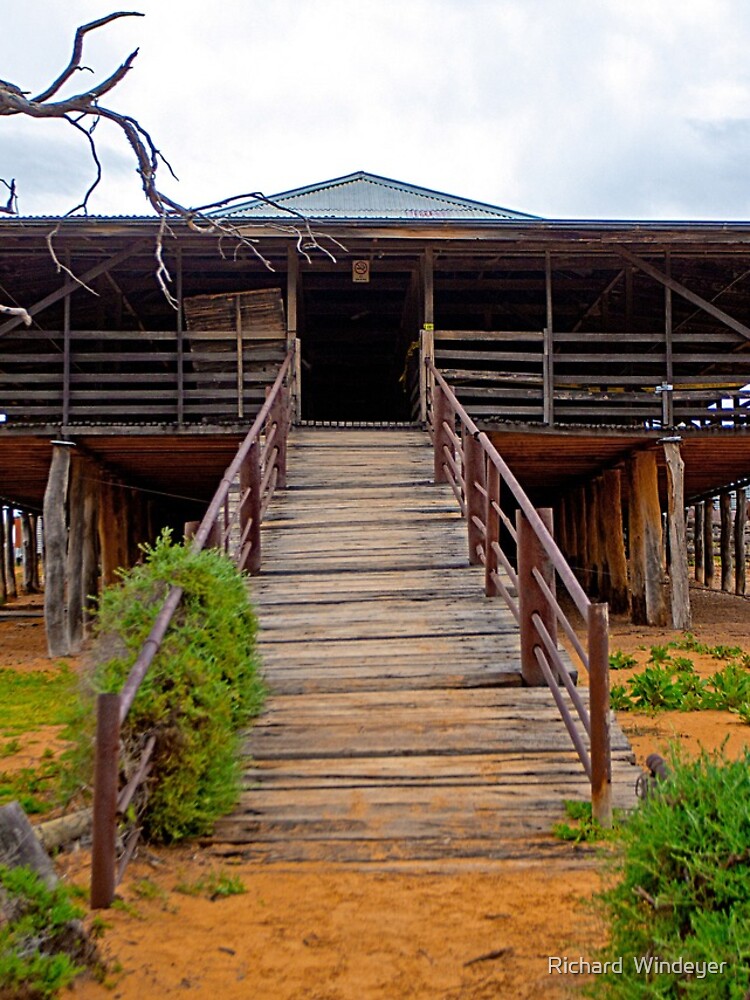 Thumbnail 4 of 4, iPhone Case, Shearing Shed, Kinchega National Park, NSW, Australia designed and sold by RICHARDW.