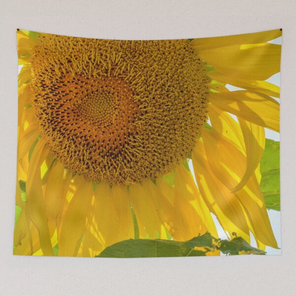 Item preview, You're My Sunflower designed and sold by macymuirhead.