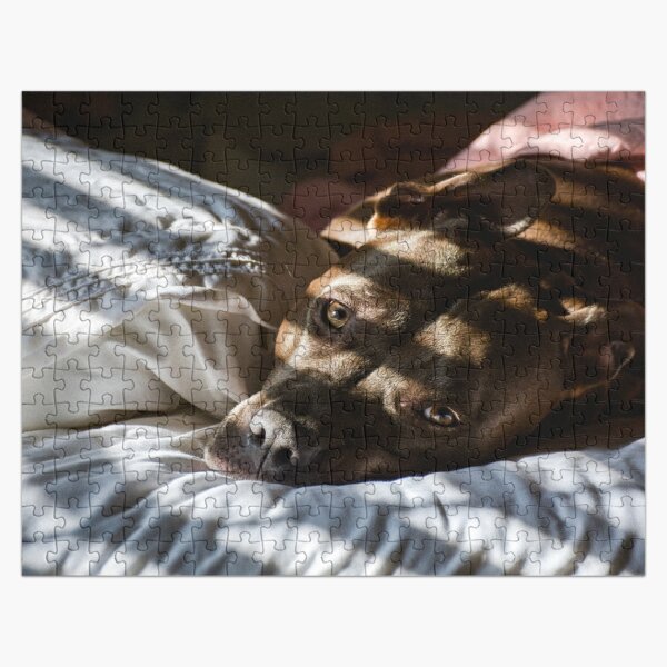 Pit Bull Terrier Mommy Jigsaw Puzzle for Sale by Blok45