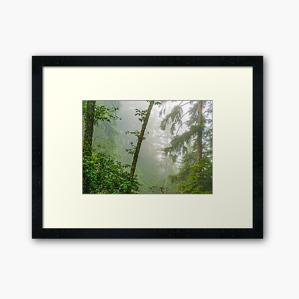 Item preview, Sunlight Through the Myst designed and sold by Karen Granoski.