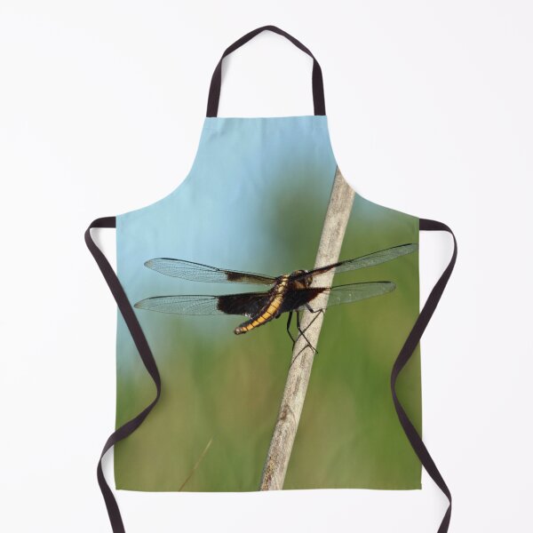 Item preview, Dragonfly on a Stick designed and sold by Susie Kramer.