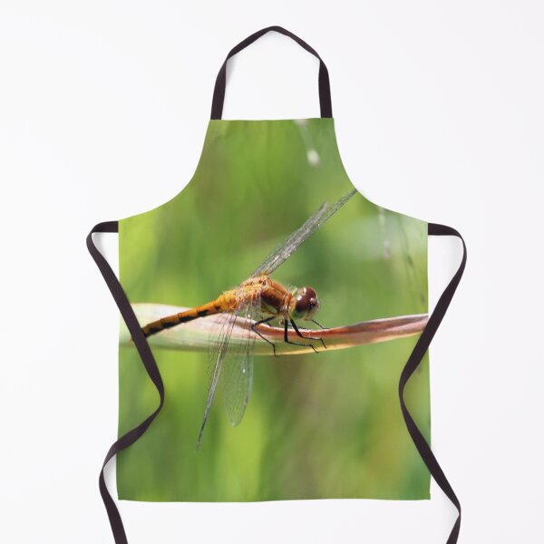 Item preview, Dragonfly on a Leaf designed and sold by Susie Kramer.