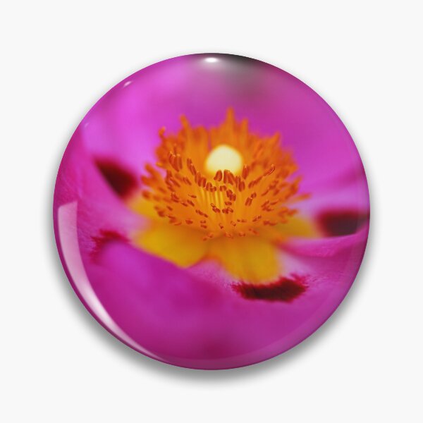 Item preview, Australian Hibiscus Pink designed and sold by Joy Watson - Natural Light Photography .