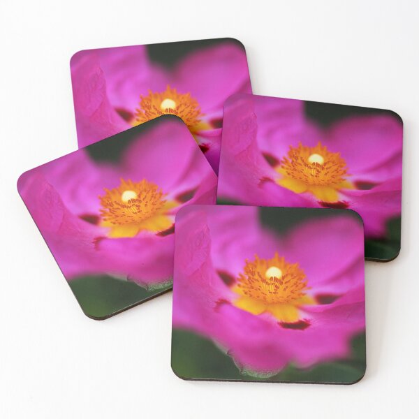 Item preview, Australian Hibiscus Pink designed and sold by Joy Watson - Natural Light Photography .