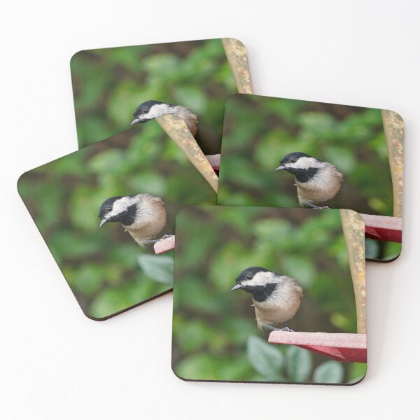 Item preview, Black capped Chickadee designed and sold by bwatkinsphoto.