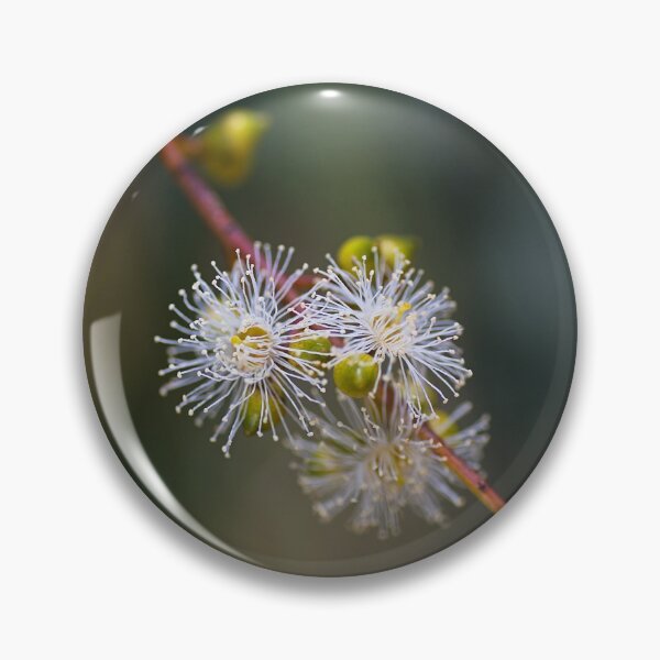 Item preview, Eucalyptus White Flowers  designed and sold by Joy Watson - Natural Light Photography .