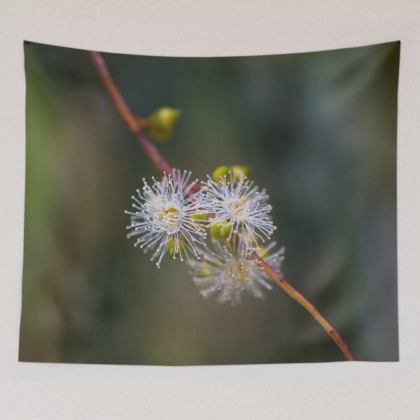 Item preview, Eucalyptus White Flowers  designed and sold by Joy Watson - Natural Light Photography .