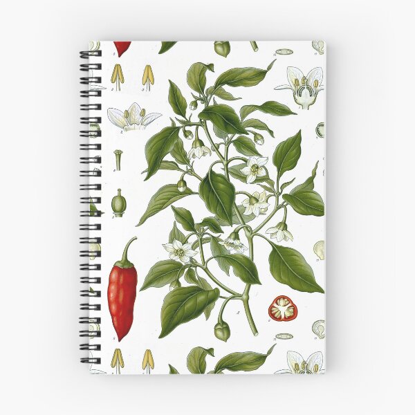 Item preview, Cayenne Pepper by Franz Eugen Köhler designed and sold by Amanda1775.