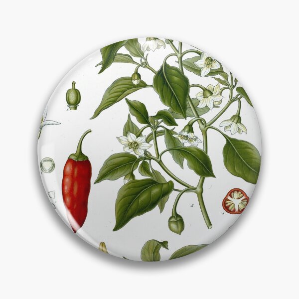 Item preview, Cayenne Pepper by Franz Eugen Köhler designed and sold by Amanda1775.