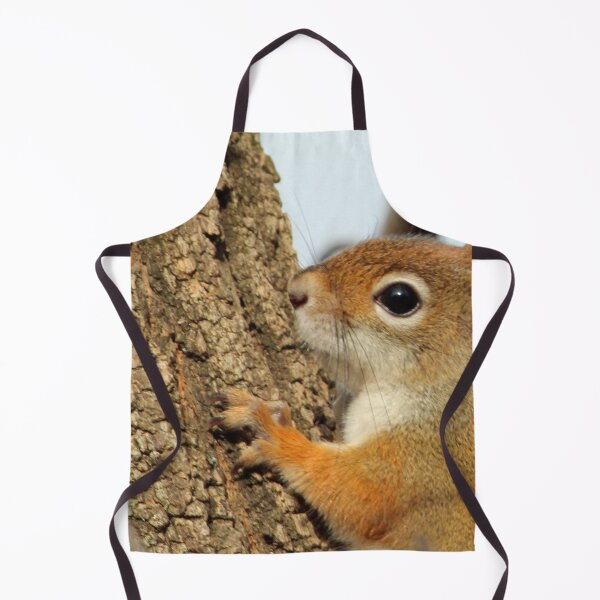 Item preview, Baby Red Squirrel Close Up designed and sold by Susie Kramer.