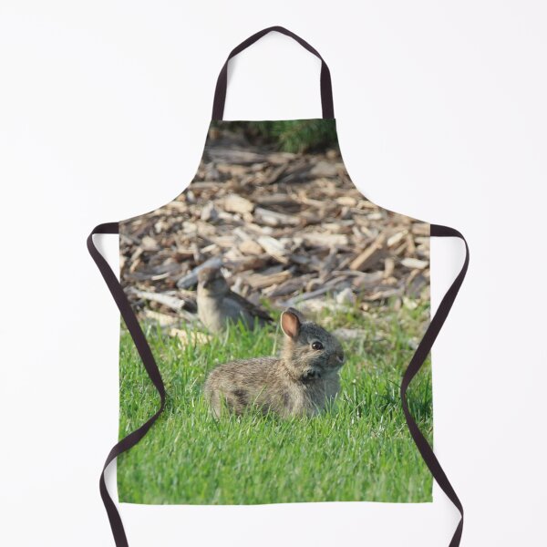 Item preview, Backyard Bunny designed and sold by Susie Kramer.