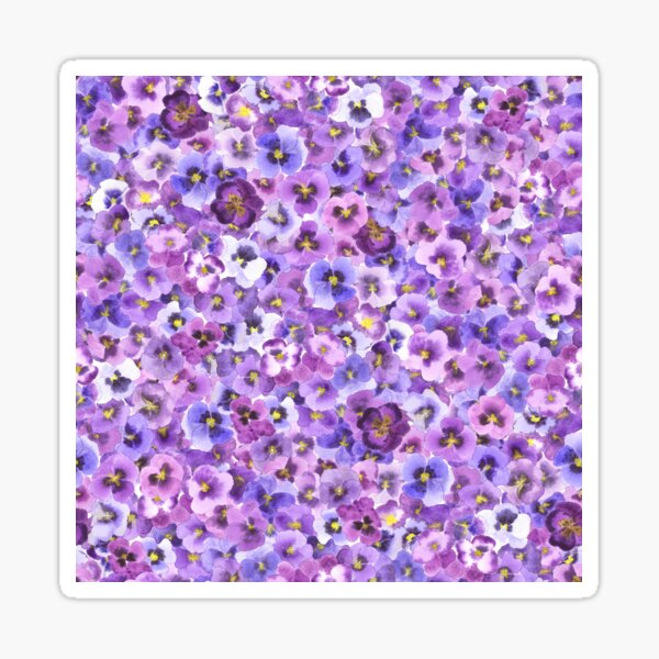 Purple Pansy Party -Watercolor Floral Purple Pansies Sticker