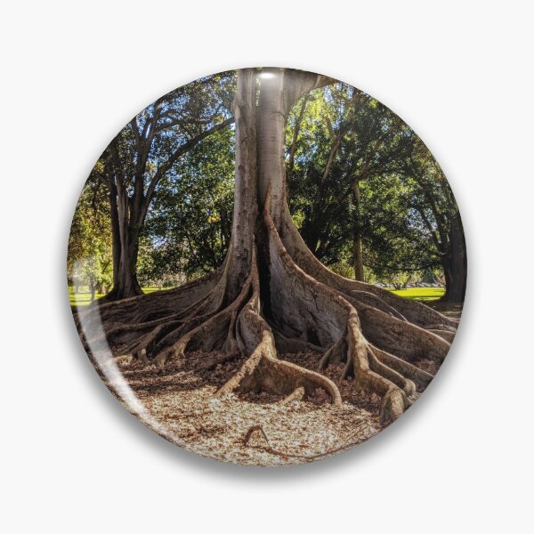 Item preview, Moreton Bay Fig designed and sold by RainbowOma.