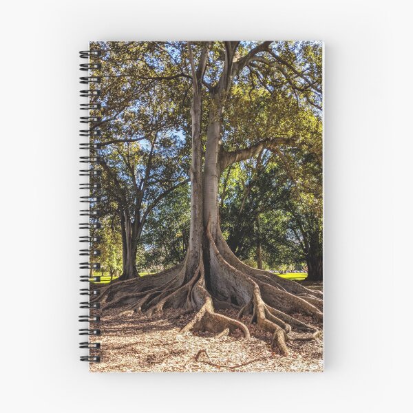 Item preview, Moreton Bay Fig designed and sold by RainbowOma.