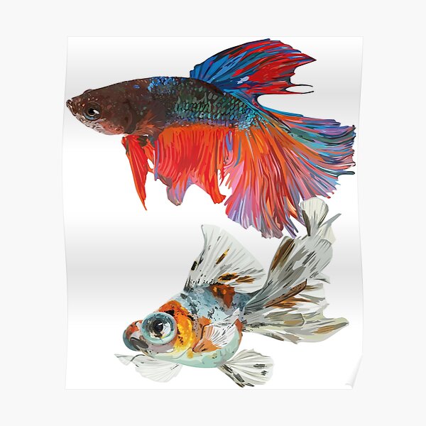 Fishes Poster