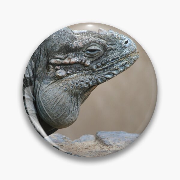 Item preview, Iguana on a Rock designed and sold by thedvguy.
