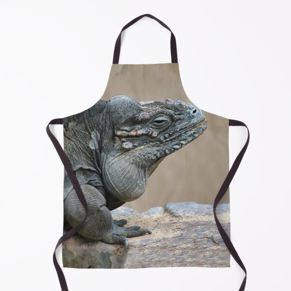 Item preview, Iguana on a Rock designed and sold by thedvguy.