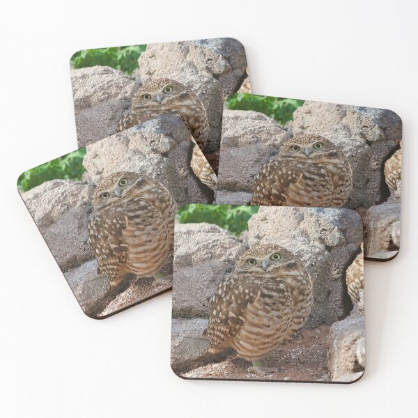 Item preview, Burrowing Owl designed and sold by thedvguy.