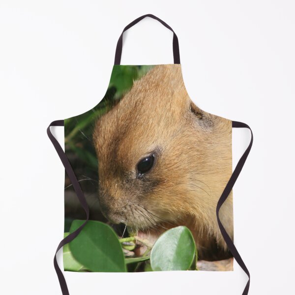 Item preview, Prairie Dog  designed and sold by thedvguy.