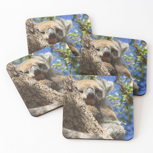 Item preview, Baby Koala designed and sold by Luxurypete.