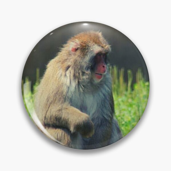 Item preview, Rhesus Macaque designed and sold by TorieWear.