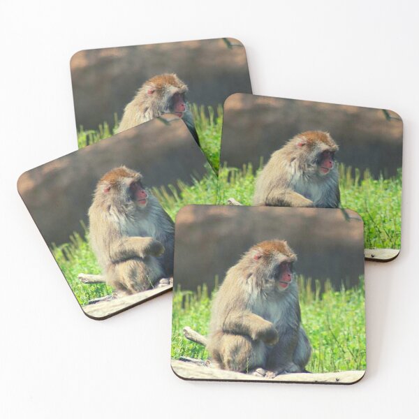 Item preview, Rhesus Macaque designed and sold by TorieWear.