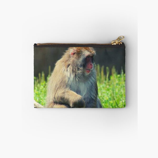 Item preview, Rhesus Macaque designed and sold by TorieWear.