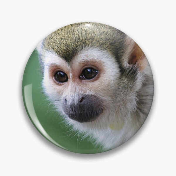 Item preview, Squirrel Monkey designed and sold by thedvguy.