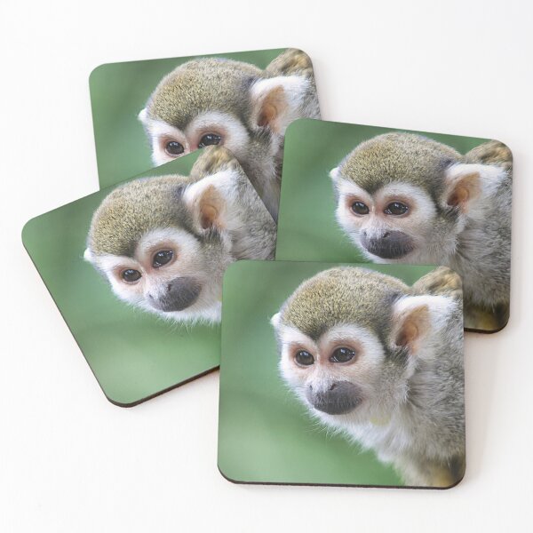 Item preview, Squirrel Monkey designed and sold by thedvguy.