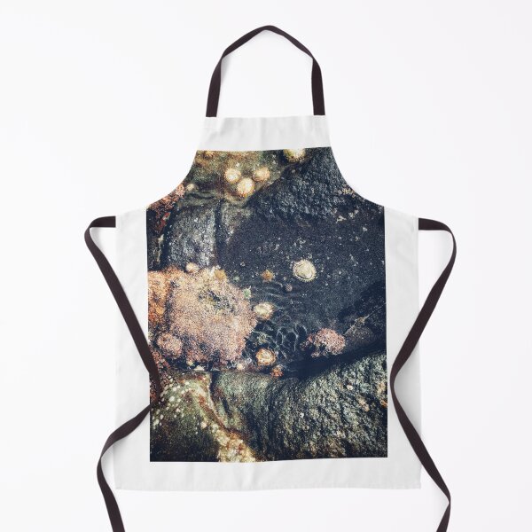 Item preview, Rock Pool designed and sold by goodieg.