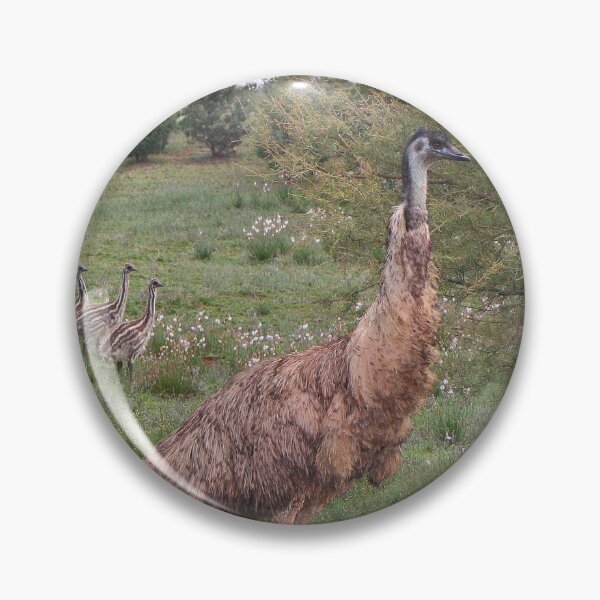 Item preview, Father emu and chicks, Outback Australia designed and sold by FranWest.