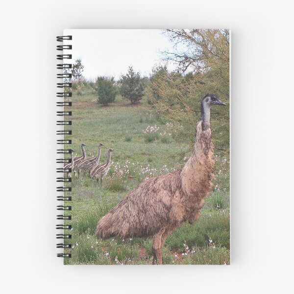 Item preview, Father emu and chicks, Outback Australia designed and sold by FranWest.