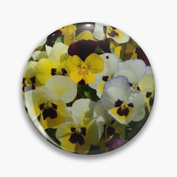 Item preview, Violas, Also Known As Pansies. designed and sold by Malcolm Snook.