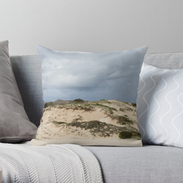 Stabilising Sand Throw Pillow