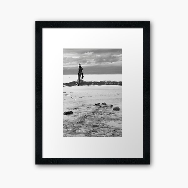 Driftwood Post Framed Art Print