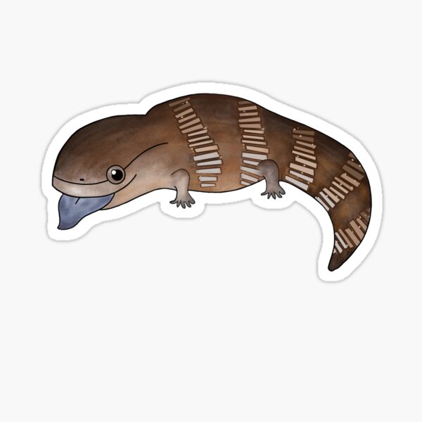 Northern blue tongue lizard Sticker