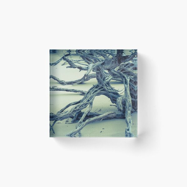Tangled Tea Tree Acrylic Block