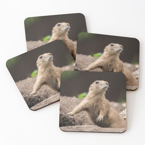 Item preview, Black Tailed Prairie Dog designed and sold by rawshutterbug.